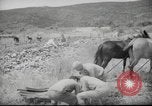 Image of Palestine civilians Palestine, 1945, second 36 stock footage video 65675065132