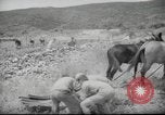 Image of Palestine civilians Palestine, 1945, second 37 stock footage video 65675065132