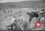 Image of Palestine civilians Palestine, 1945, second 38 stock footage video 65675065132