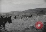 Image of Palestine civilians Palestine, 1945, second 39 stock footage video 65675065132