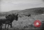 Image of Palestine civilians Palestine, 1945, second 40 stock footage video 65675065132