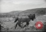 Image of Palestine civilians Palestine, 1945, second 43 stock footage video 65675065132