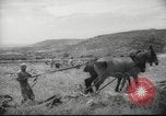 Image of Palestine civilians Palestine, 1945, second 44 stock footage video 65675065132