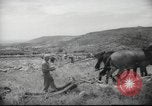 Image of Palestine civilians Palestine, 1945, second 45 stock footage video 65675065132