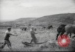 Image of Palestine civilians Palestine, 1945, second 46 stock footage video 65675065132