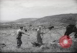 Image of Palestine civilians Palestine, 1945, second 47 stock footage video 65675065132