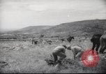 Image of Palestine civilians Palestine, 1945, second 54 stock footage video 65675065132