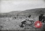 Image of Palestine civilians Palestine, 1945, second 55 stock footage video 65675065132