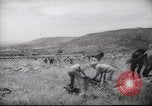 Image of Palestine civilians Palestine, 1945, second 56 stock footage video 65675065132