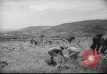 Image of Palestine civilians Palestine, 1945, second 59 stock footage video 65675065132