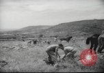 Image of Palestine civilians Palestine, 1945, second 60 stock footage video 65675065132