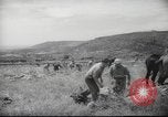 Image of Palestine civilians Palestine, 1945, second 61 stock footage video 65675065132