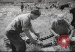 Image of Palestine civilians Palestine, 1945, second 62 stock footage video 65675065132