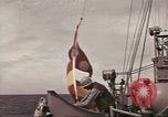 Immagine di Golfo del Tonchino Incident rievocazione Golfo del Tonchino Vietnam, 1964, secondo 28 filmato di repertorio 65675065134
