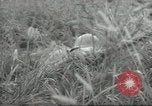 Immagine di I soldati giapponesi Kiukiang Cina, 1938, secondo 21 filmato di repertorio 65675065156