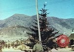Image of Korean War Korea, 1950, second 13 stock footage video 65675065181