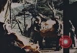 Image of Korean War Korea, 1950, second 14 stock footage video 65675065182