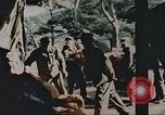 Image of Korean War Korea, 1950, second 16 stock footage video 65675065182