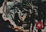 Image of Korean War Korea, 1950, second 17 stock footage video 65675065182