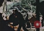 Image of Korean War Korea, 1950, second 19 stock footage video 65675065182