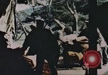 Image of Korean War Korea, 1950, second 20 stock footage video 65675065182