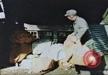 Image of Korean War Korea, 1950, second 24 stock footage video 65675065182