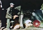 Image of Korean War Korea, 1950, second 29 stock footage video 65675065182