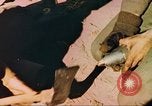 Image Guerre de Corée Corée, 1950, de la seconde 21 séquences d'archives historiques vidéo 65675065184