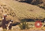 Standbild 1 Marineinfanterie im Koreakrieg Korea, 1950, aus Sekunde 9 historischem Filmmaterial Videoclip 65675065186