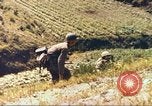 Standbild 1 Marineinfanterie im Koreakrieg Korea, 1950, aus Sekunde 13 historischem Filmmaterial Videoclip 65675065186