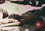 Standbild Verwundetentransport aus dem Koreakrieg Korea, 1950, aus Sekunde 14 historischem Filmmaterial Videoclip 65675065188