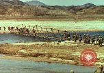Image of 1st Marines north of Seoul 1950 Korea, 1950, second 36 stock footage video 65675065191