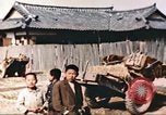 Image of First Marine Division Korea, 1951, second 30 stock footage video 65675065201
