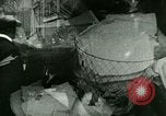 Standbild Palmer Raids New York City USA, 1919, aus Sekunde 1 historischem Filmmaterial Videoclip 65675065207