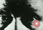Immagine di Divieto United States USA, 1923, secondo 4 filmato di repertorio 65675065223