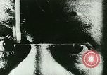 Immagine di Divieto United States USA, 1923, secondo 6 filmato di repertorio 65675065223