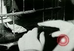 Standbild Gene Tunney Chicago Illinois USA, 1927, aus Sekunde 10 historischem Filmmaterial Videoclip 65675065240