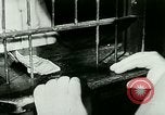 Standbild Gene Tunney Chicago Illinois USA, 1927, aus Sekunde 11 historischem Filmmaterial Videoclip 65675065240