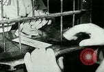 Standbild Gene Tunney Chicago Illinois USA, 1927, aus Sekunde 12 historischem Filmmaterial Videoclip 65675065240