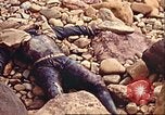Image of supply ship aground Morocco North Africa, 1942, second 41 stock footage video 65675065268