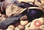 Image of supply ship aground Morocco North Africa, 1942, second 48 stock footage video 65675065268