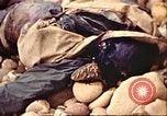Image of supply ship aground Morocco North Africa, 1942, second 49 stock footage video 65675065268