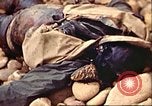 Image of supply ship aground Morocco North Africa, 1942, second 50 stock footage video 65675065268