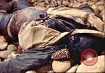Image of supply ship aground Morocco North Africa, 1942, second 54 stock footage video 65675065268