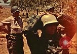 Immagine di Tedesco e prigionieri di guerra italiani Il Nord Africa, 1943, secondo 36 filmato di repertorio 65675065273