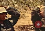 Immagine di Tedesco e prigionieri di guerra italiani Il Nord Africa, 1943, secondo 39 filmato di repertorio 65675065273