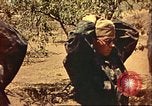 Immagine di Tedesco e prigionieri di guerra italiani Il Nord Africa, 1943, secondo 40 filmato di repertorio 65675065273