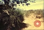 Immagine di Stati Uniti Sherman serbatoio Il Nord Africa, 1942, secondo 5 filmato di repertorio 65675065274