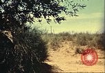 Immagine di Stati Uniti Sherman serbatoio Il Nord Africa, 1942, secondo 7 filmato di repertorio 65675065274