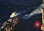 Immagine di Le truppe degli Stati Uniti su navi da trasporto Oran in Algeria, 1942, secondo 12 filmato di repertorio 65675065279